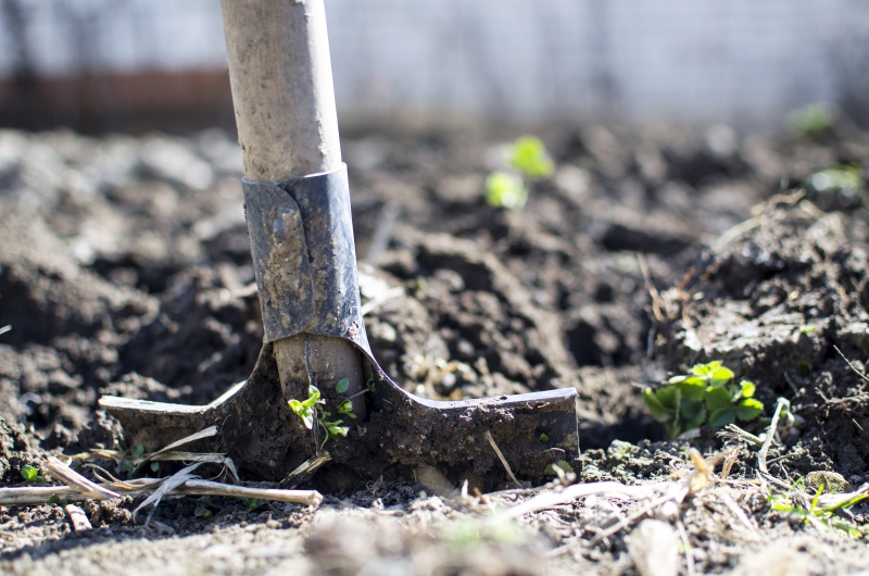 jardinerie-VINS SUR CARAMY-min_equipment-2047314